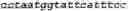 Fig. 48 - Bacteria engineered to reduce hyperphenylalaninemia