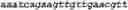 Fig. 63 - Bacteria engineered to reduce hyperphenylalaninemia
