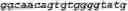Fig. 68 - Bacteria engineered to reduce hyperphenylalaninemia