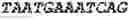 Fig. 75 - Bacteria engineered to reduce hyperphenylalaninemia