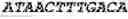 Fig. 84 - Bacteria engineered to reduce hyperphenylalaninemia