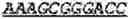 Fig. 86 - Bacteria engineered to reduce hyperphenylalaninemia