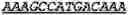 Fig. 87 - Bacteria engineered to reduce hyperphenylalaninemia