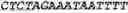 Fig. 92 - Bacteria engineered to reduce hyperphenylalaninemia