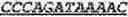 Fig. 95 - Bacteria engineered to reduce hyperphenylalaninemia