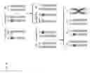 Fig. 09 - DNA sequence modification-based gene drive