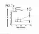 Fig. 09 - Compositions and methods for treating or preventing lupus