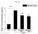 Fig. 08 - INTRATHECAL DELIVERY OF NUCLEIC ACID SEQUENCES ENCODING ABCD1 FOR TREATMENT OF ADRENOMYELONEUROPATHY