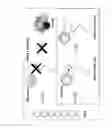 Fig. 02 - Chimeric double-stranded nucleic acid