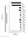 Fig. 28 - Methods and Compositions for Selecting siRNA of Improved Functionality