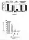 Fig. 07 - Functional tRNA-aptamer molecules