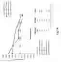 Fig. 09 - Spherical nucleic acid-based constructs as immunostimulatory agents for prophylactic and therapeutic use