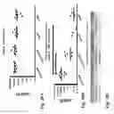 Fig. 22 - Spherical nucleic acid-based constructs as immunostimulatory agents for prophylactic and therapeutic use