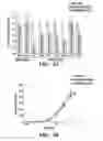 Fig. 09 - Methods relating to circulating tumor cell clusters and the treatment of cancer