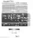 Fig. 13 - Methods relating to circulating tumor cell clusters and the treatment of cancer