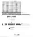 Fig. 22 - Methods relating to circulating tumor cell clusters and the treatment of cancer
