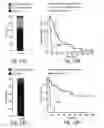 Fig. 28 - Methods relating to circulating tumor cell clusters and the treatment of cancer