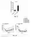 Fig. 29 - Methods relating to circulating tumor cell clusters and the treatment of cancer