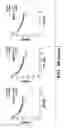 Fig. 35 - Methods relating to circulating tumor cell clusters and the treatment of cancer