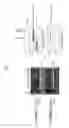 Fig. 07 - METHOD FOR SITE-SPECIFIC INSERTION OF FOREIGN DNA INTO A GENOME IN AN ANIMAL CELL AND A CELL OBTAINED USING SAME