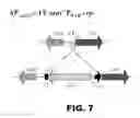 Fig. 09 - REGULATED EXPRESSION OF ANTIGEN AND/OR REGULATED ATTENUATION TO ENHANCE VACCINE IMMUNOGENICITY AND/OR SAFETY