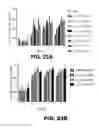 Fig. 24 - REGULATED EXPRESSION OF ANTIGEN AND/OR REGULATED ATTENUATION TO ENHANCE VACCINE IMMUNOGENICITY AND/OR SAFETY