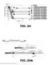 Fig. 25 - REGULATED EXPRESSION OF ANTIGEN AND/OR REGULATED ATTENUATION TO ENHANCE VACCINE IMMUNOGENICITY AND/OR SAFETY