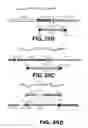 Fig. 26 - REGULATED EXPRESSION OF ANTIGEN AND/OR REGULATED ATTENUATION TO ENHANCE VACCINE IMMUNOGENICITY AND/OR SAFETY