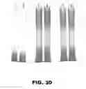 Fig. 32 - REGULATED EXPRESSION OF ANTIGEN AND/OR REGULATED ATTENUATION TO ENHANCE VACCINE IMMUNOGENICITY AND/OR SAFETY