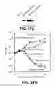 Fig. 40 - REGULATED EXPRESSION OF ANTIGEN AND/OR REGULATED ATTENUATION TO ENHANCE VACCINE IMMUNOGENICITY AND/OR SAFETY