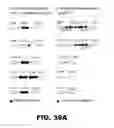 Fig. 41 - REGULATED EXPRESSION OF ANTIGEN AND/OR REGULATED ATTENUATION TO ENHANCE VACCINE IMMUNOGENICITY AND/OR SAFETY