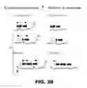 Fig. 43 - REGULATED EXPRESSION OF ANTIGEN AND/OR REGULATED ATTENUATION TO ENHANCE VACCINE IMMUNOGENICITY AND/OR SAFETY
