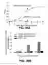 Fig. 44 - REGULATED EXPRESSION OF ANTIGEN AND/OR REGULATED ATTENUATION TO ENHANCE VACCINE IMMUNOGENICITY AND/OR SAFETY