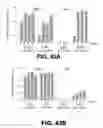 Fig. 48 - REGULATED EXPRESSION OF ANTIGEN AND/OR REGULATED ATTENUATION TO ENHANCE VACCINE IMMUNOGENICITY AND/OR SAFETY