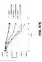 Fig. 74 - REGULATED EXPRESSION OF ANTIGEN AND/OR REGULATED ATTENUATION TO ENHANCE VACCINE IMMUNOGENICITY AND/OR SAFETY