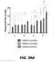 Fig. 75 - REGULATED EXPRESSION OF ANTIGEN AND/OR REGULATED ATTENUATION TO ENHANCE VACCINE IMMUNOGENICITY AND/OR SAFETY