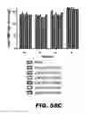 Fig. 77 - REGULATED EXPRESSION OF ANTIGEN AND/OR REGULATED ATTENUATION TO ENHANCE VACCINE IMMUNOGENICITY AND/OR SAFETY