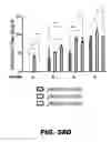 Fig. 78 - REGULATED EXPRESSION OF ANTIGEN AND/OR REGULATED ATTENUATION TO ENHANCE VACCINE IMMUNOGENICITY AND/OR SAFETY