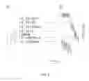 Fig. 05 - Wheat stripe rust resistance genes and methods of use