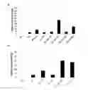 Fig. 01 - USE OF VLP FOR THE DETECTION OF NUCLEIC ACIDS
