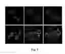 Fig. 03 - USE OF VLP FOR THE DETECTION OF NUCLEIC ACIDS