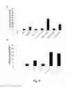 Fig. 04 - USE OF VLP FOR THE DETECTION OF NUCLEIC ACIDS