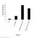 Fig. 05 - USE OF VLP FOR THE DETECTION OF NUCLEIC ACIDS