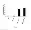Fig. 06 - USE OF VLP FOR THE DETECTION OF NUCLEIC ACIDS