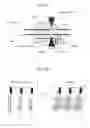 Fig. 09 - Compositions and methods for modifying a target nucleic acid