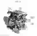 Fig. 22 - Compositions and methods for modifying a target nucleic acid
