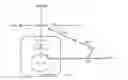 Fig. 01 - Microorganism producing lactic acid and method for producing lactic acid using same