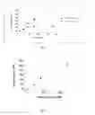 Fig. 03 - Method for storing gaseous hydrogen through producing methanoate (formate)