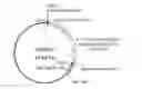 Fig. 01 - LABYRINTHULID MICROORGANISM CAPABLE OF PRODUCING MICROBIAL OIL, MICROBIAL OIL, METHODS FOR PRODUCING SAID MICROORGANISM AND FOR PRODUCING SAID MICROBIAL OIL, AND USES OF SAID MICROORGANISM AND SAID MICROBIAL OIL