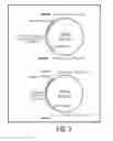 Fig. 06 - LABYRINTHULID MICROORGANISM CAPABLE OF PRODUCING MICROBIAL OIL, MICROBIAL OIL, METHODS FOR PRODUCING SAID MICROORGANISM AND FOR PRODUCING SAID MICROBIAL OIL, AND USES OF SAID MICROORGANISM AND SAID MICROBIAL OIL